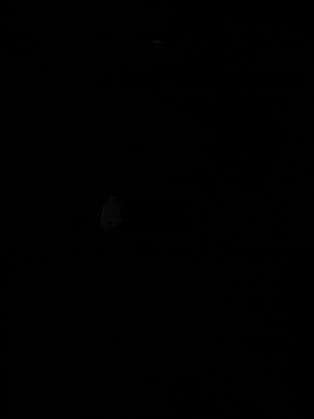 Nova Floor Lamp Pro
